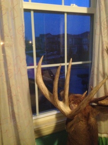 Hey do you think the neighbors can see my rack?